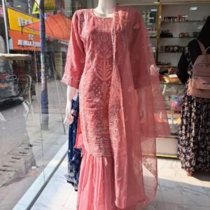 Elegant Peach Embroidered Ladies Dress Set